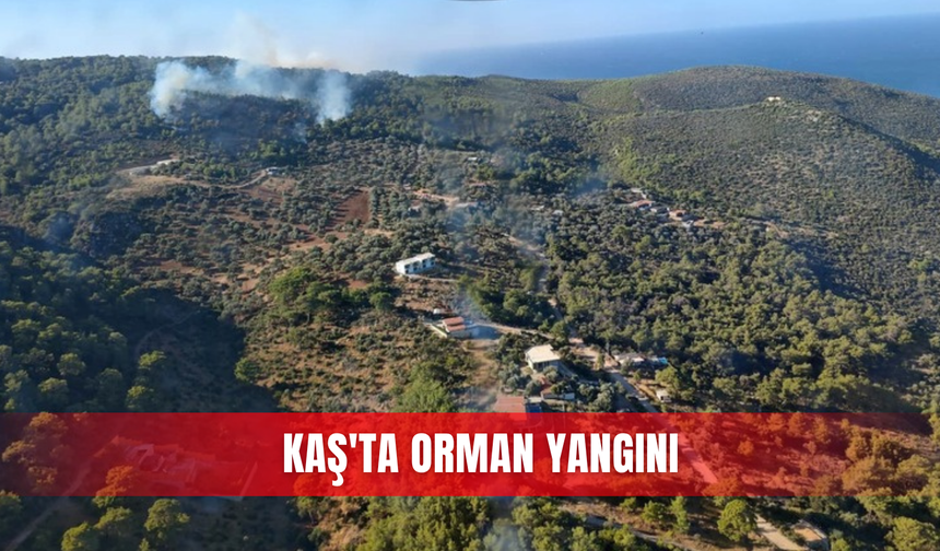 Kaş'ta orman yangını