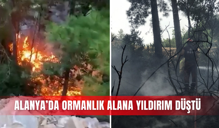 Alanya’da ormanlık alana yıldırım düştü