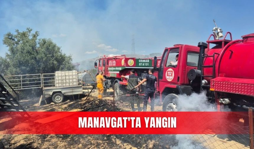 Manavgat'ta yangın