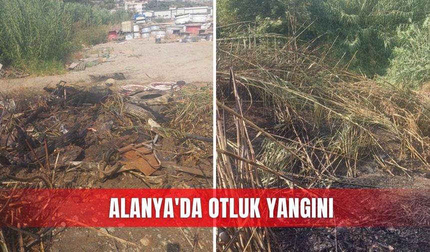 Alanya'da otluk yangını