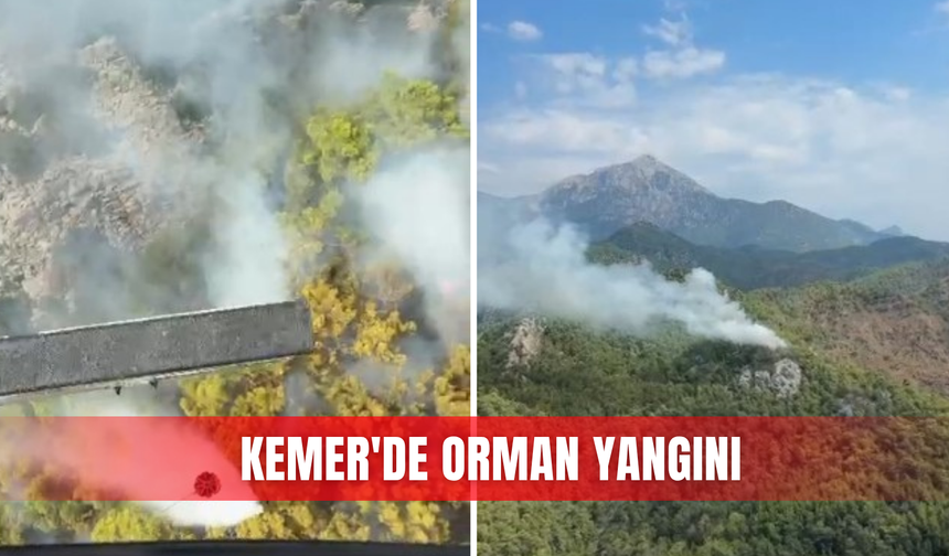 Kemer'de orman yangını