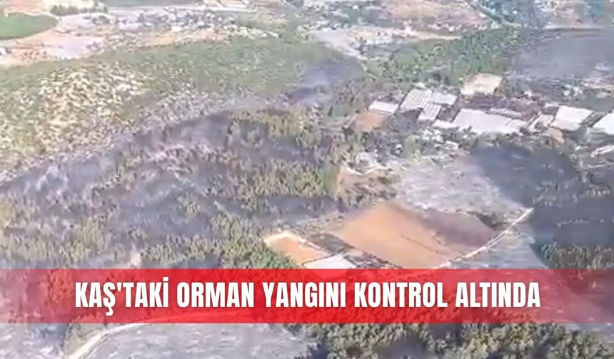 Kaş'taki orman yangını kontrol altında