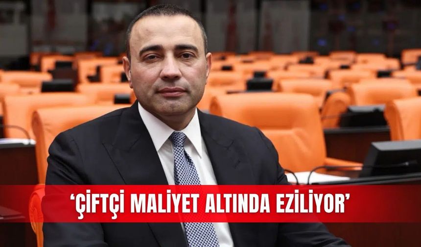 ‘Çiftçi maliyet altında eziliyor’