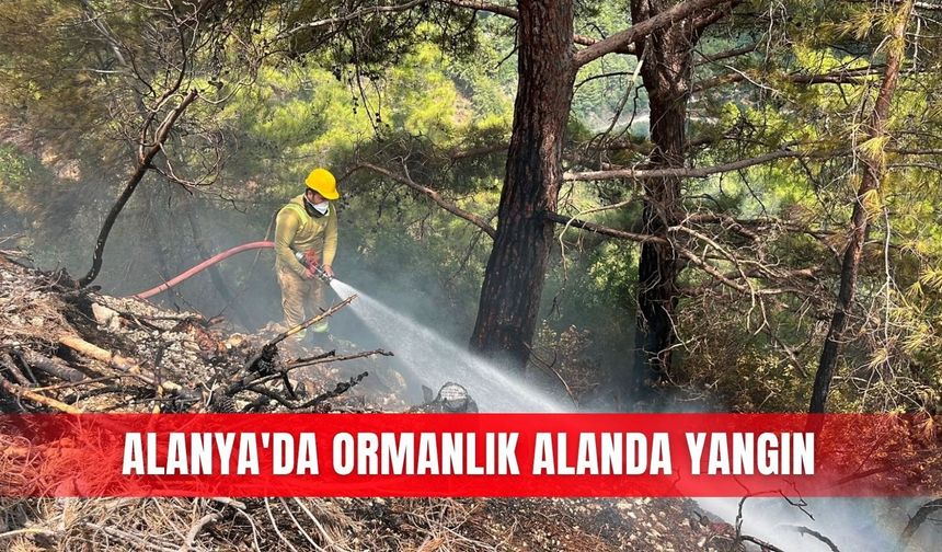 Alanya'da ormanlık alanda yangın