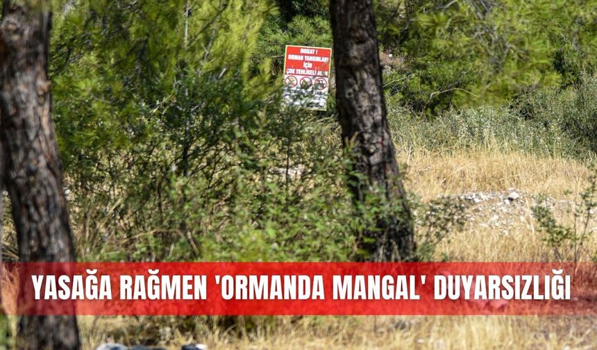 Yasağa rağmen 'ormanda mangal' duyarsızlığı