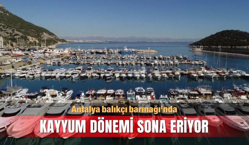 Antalya balıkçı barınağı'nda kayyum dönemi sona eriyor