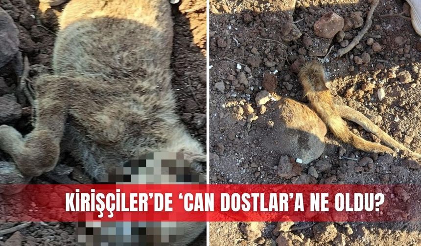 Kirişçiler’de ‘Can Dostlar’a ne oldu?