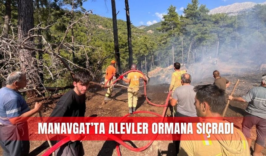 Manavgat’ta alevler ormana sıçradı
