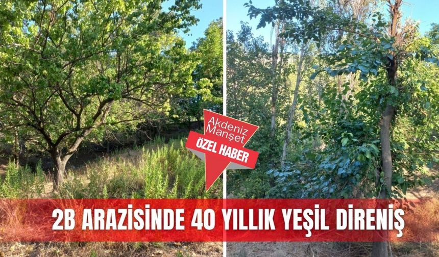 2B arazisinde 40 yıllık yeşil direniş