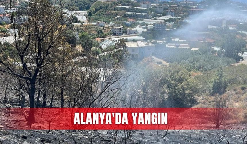 Alanya'da yangın