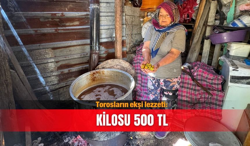Torosların ekşi lezzeti: Kilosu 500 TL