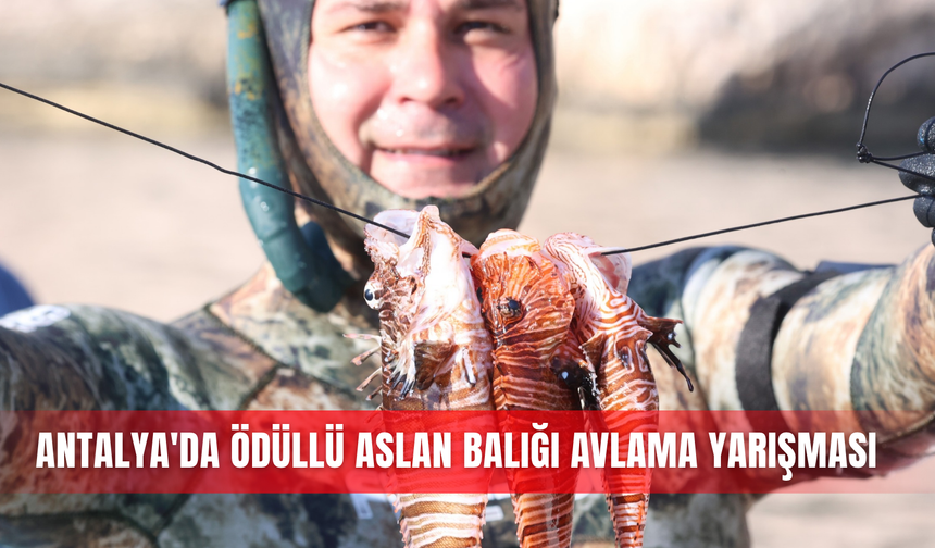 Antalya'da ödüllü aslan balığı avlama yarışması