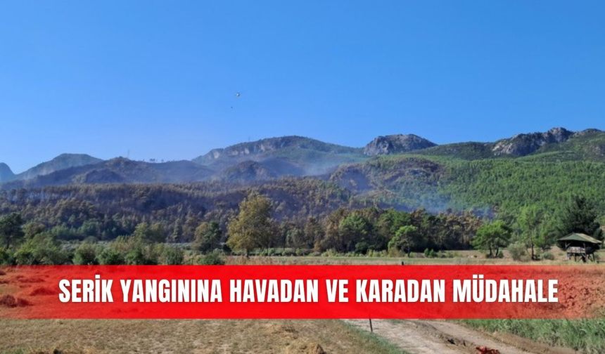 Serik yangınına havadan ve karadan müdahale