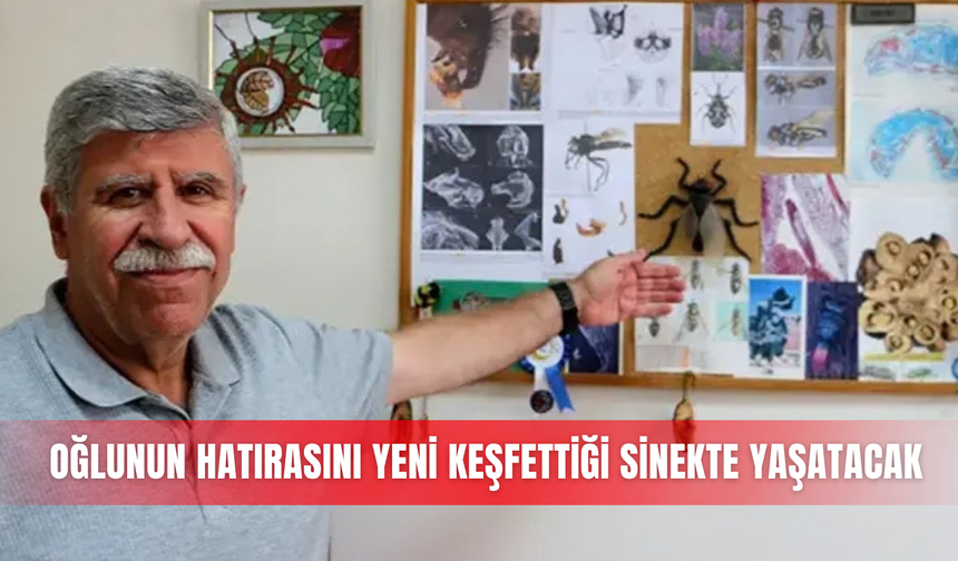 Oğlunun hatırasını yeni keşfettiği sinekte yaşatacak