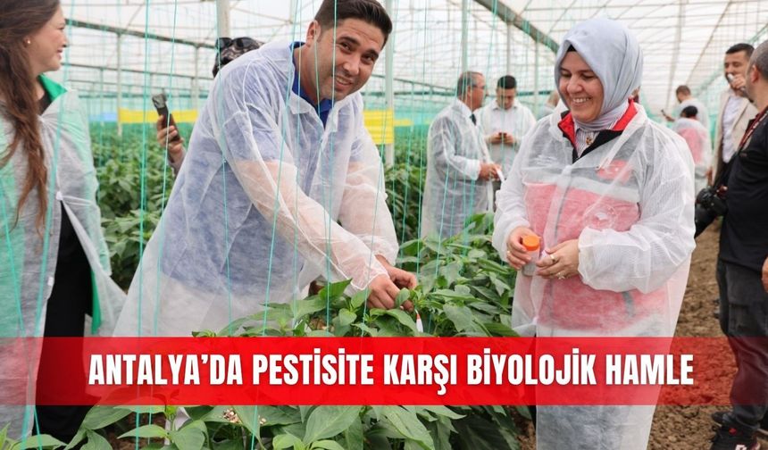 Antalya’da pestisite karşı biyolojik hamle
