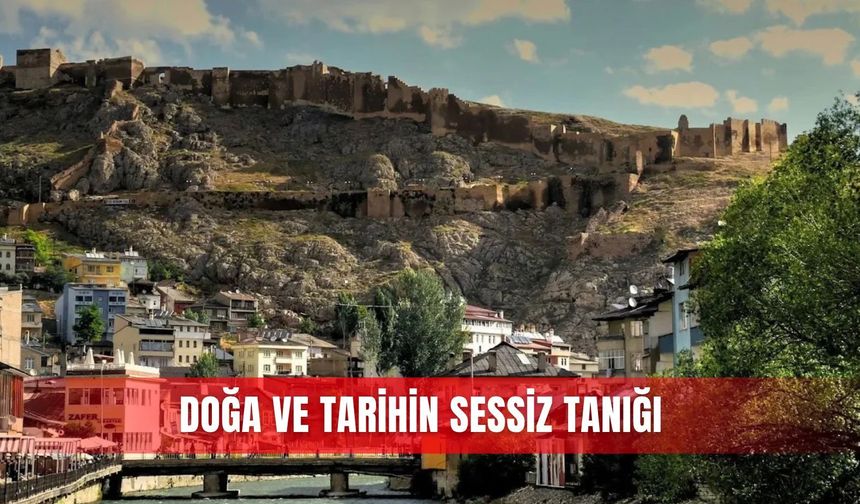 Doğa ve tarihin sessiz tanığı