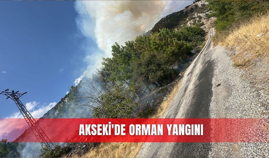 Akseki'de orman yangını