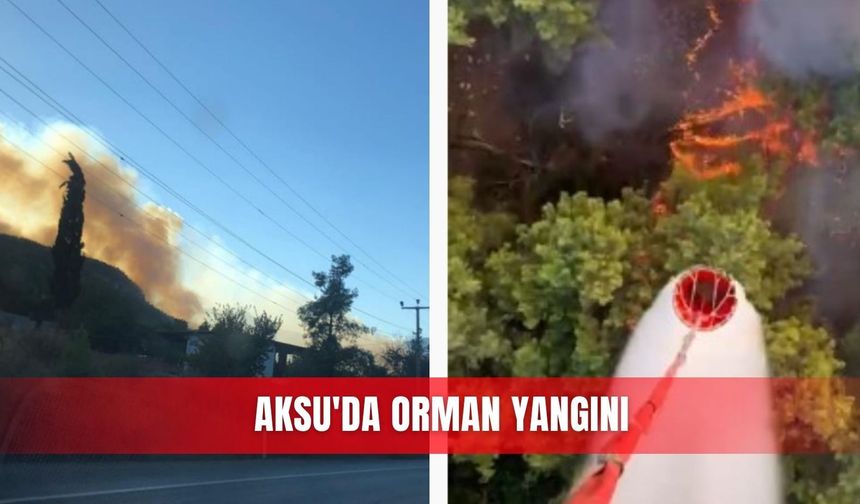 Antalya Aksu'da orman yangını