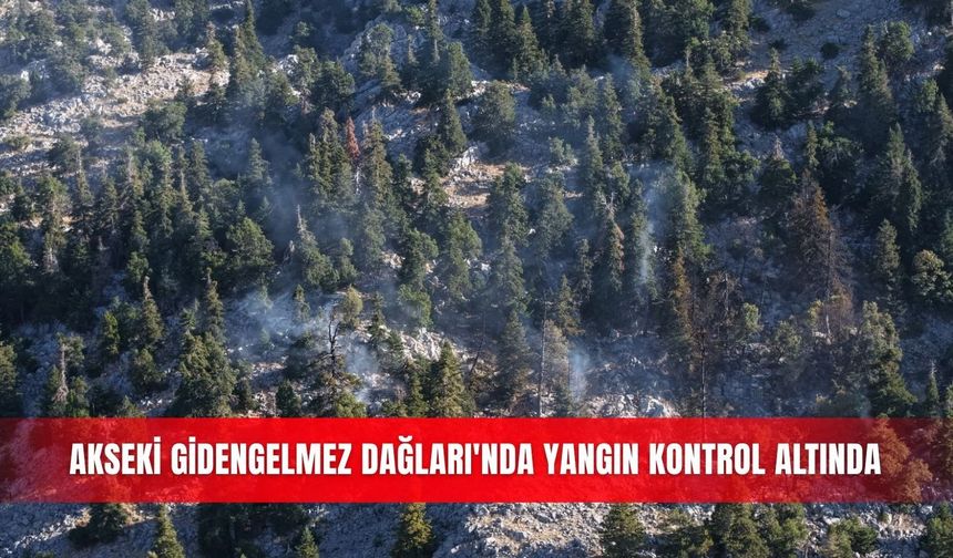 Akseki Gidengelmez Dağları'nda yangın kontrol altında