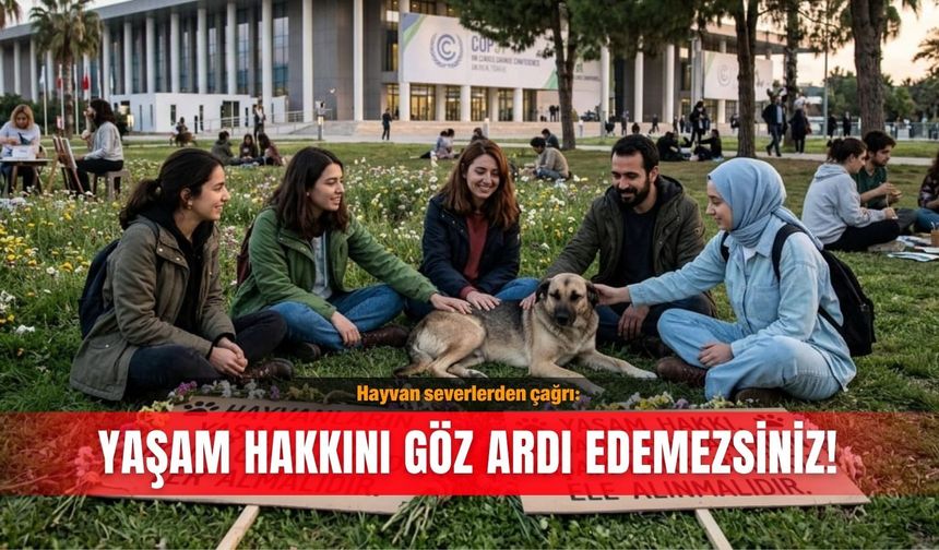 Hayvan severlerden çağrı: Yaşam hakkını göz ardı edemezsiniz!