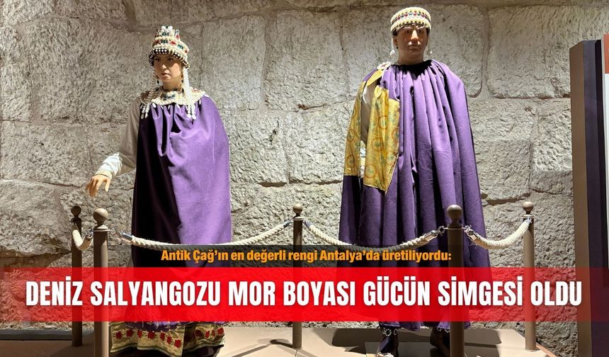 Antik Çağ’ın en değerli rengi Antalya’da üretiliyordu: Deniz salyangozu mor boyası gücün simgesi oldu