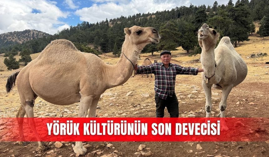 Yörük kültürünün son devecisi