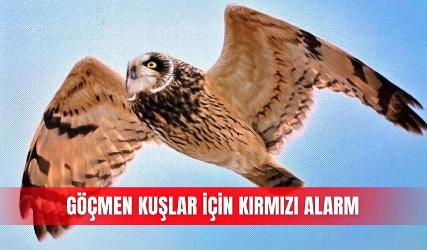 Göçmen kuşlar için kırmızı alarm