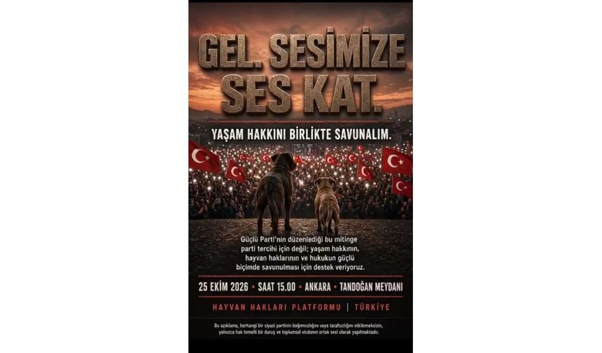Hayvan severlerden büyük mitinge çağrı