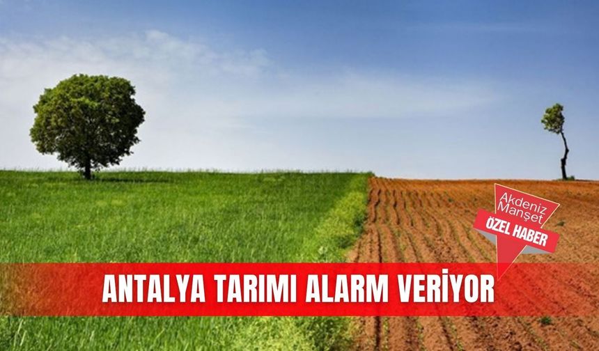 Antalya tarımı alarm veriyor