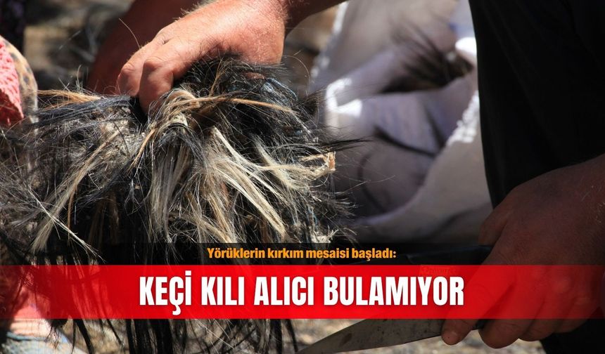 Yörüklerin kırkım mesaisi başladı: Keçi kılı alıcı bulamıyor
