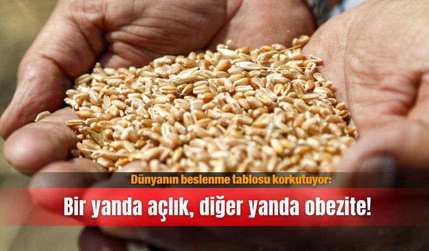Dünyanın beslenme tablosu korkutuyor: Bir yanda açlık, diğer yanda obezite!