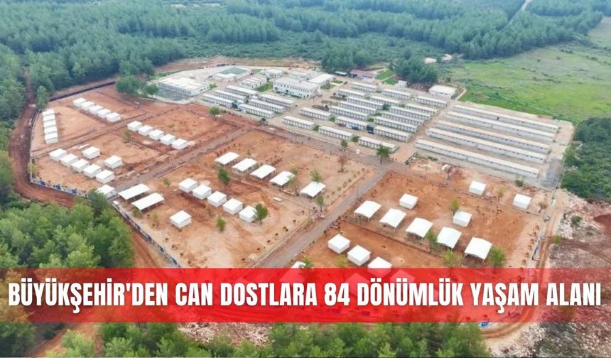 Büyükşehir'den can dostlara 84 bin metrekarelik yaşam alanı