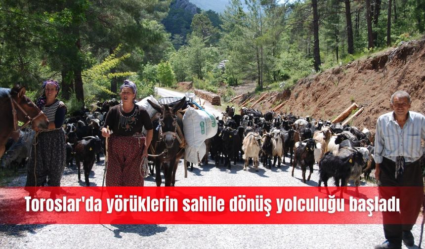 Toroslar'da yörüklerin sahile dönüş yolculuğu başladı