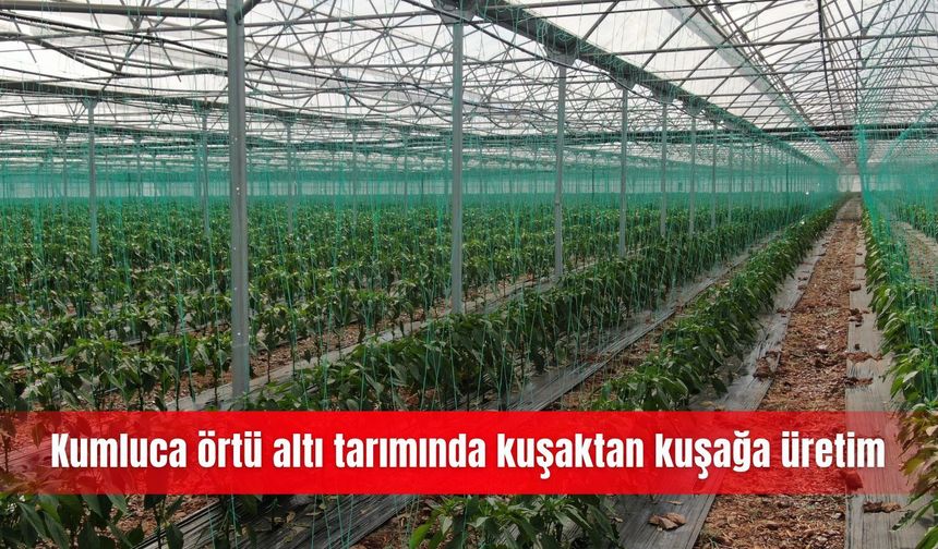 Kumluca örtü altı tarımında kuşaktan kuşağa üretim