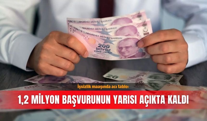 İşsizlik maaşında acı tablo: 1,2 milyon başvurunun yarısı açıkta kaldı