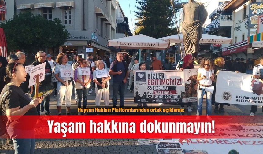 Hayvan Hakları Platformlarından ortak açıklama: Yaşam hakkına dokunmayın!