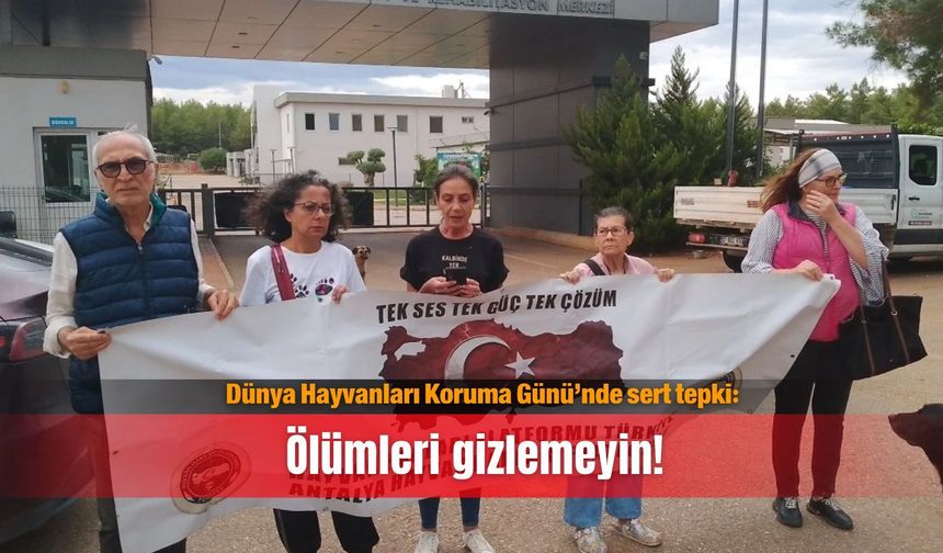 Dünya Hayvanları Koruma Günü’nde sert tepki: Ölümleri gizlemeyin!