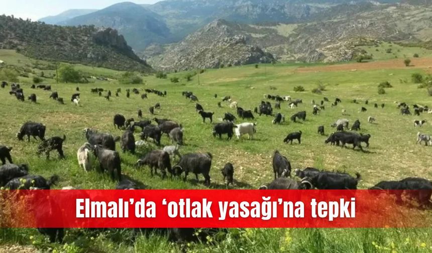 Elmalı’da ‘otlak yasağı’na tepki