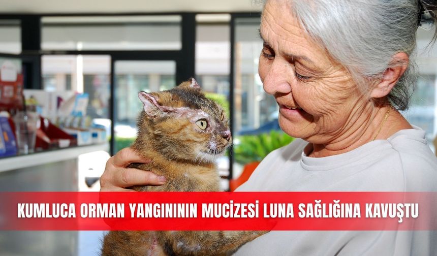 Kumluca orman yangınının mucizesi Luna sağlığına kavuştu