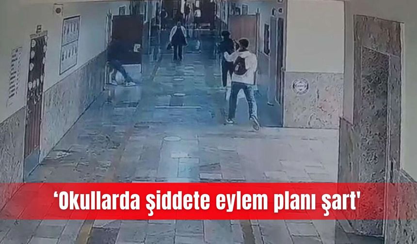 ‘Okullarda şiddete eylem planı şart'