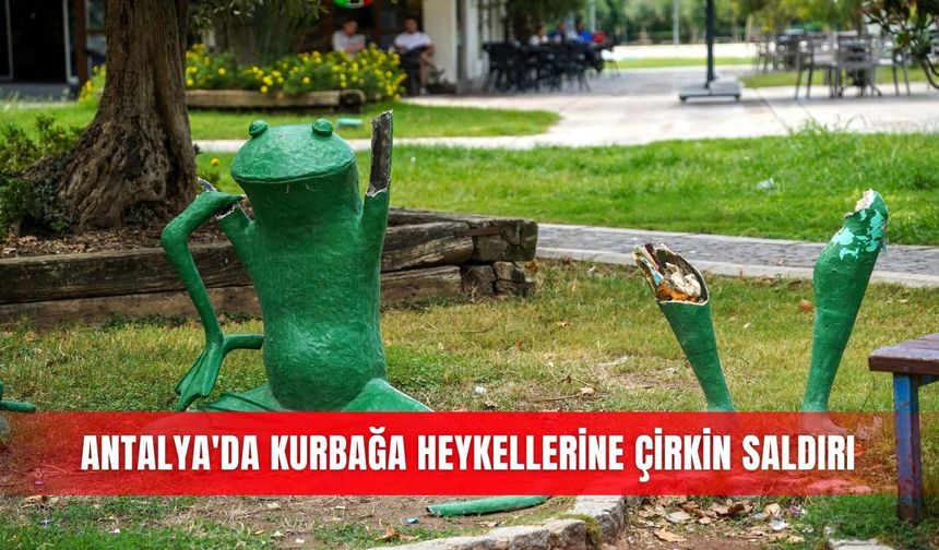 Antalya'da kurbağa heykellerine çirkin saldırı