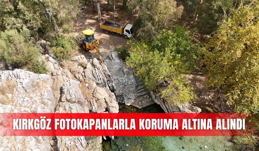 Kırkgöz fotokapanlarla koruma altına alındı